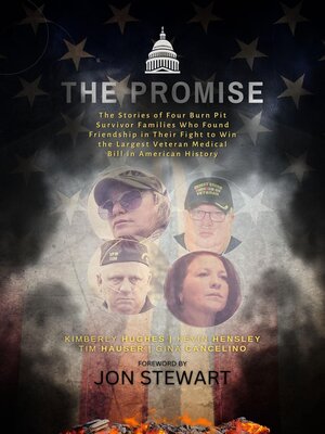 cover image of The Promise